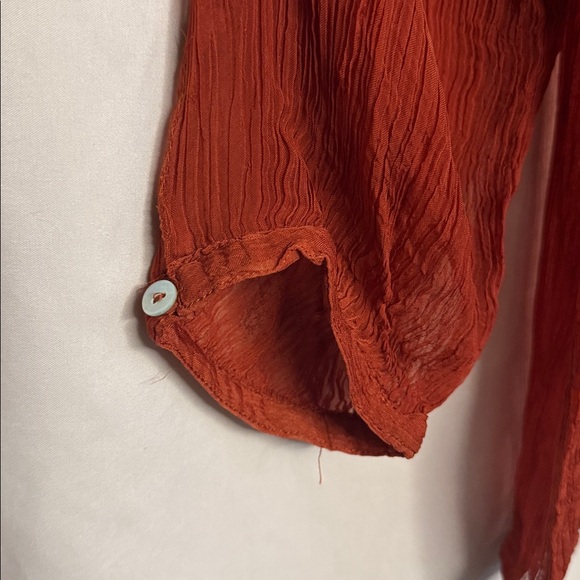 Kimchi Blue Sheer Buttoned Blouse, Size S, Color Auburn - Picture 4 of 7